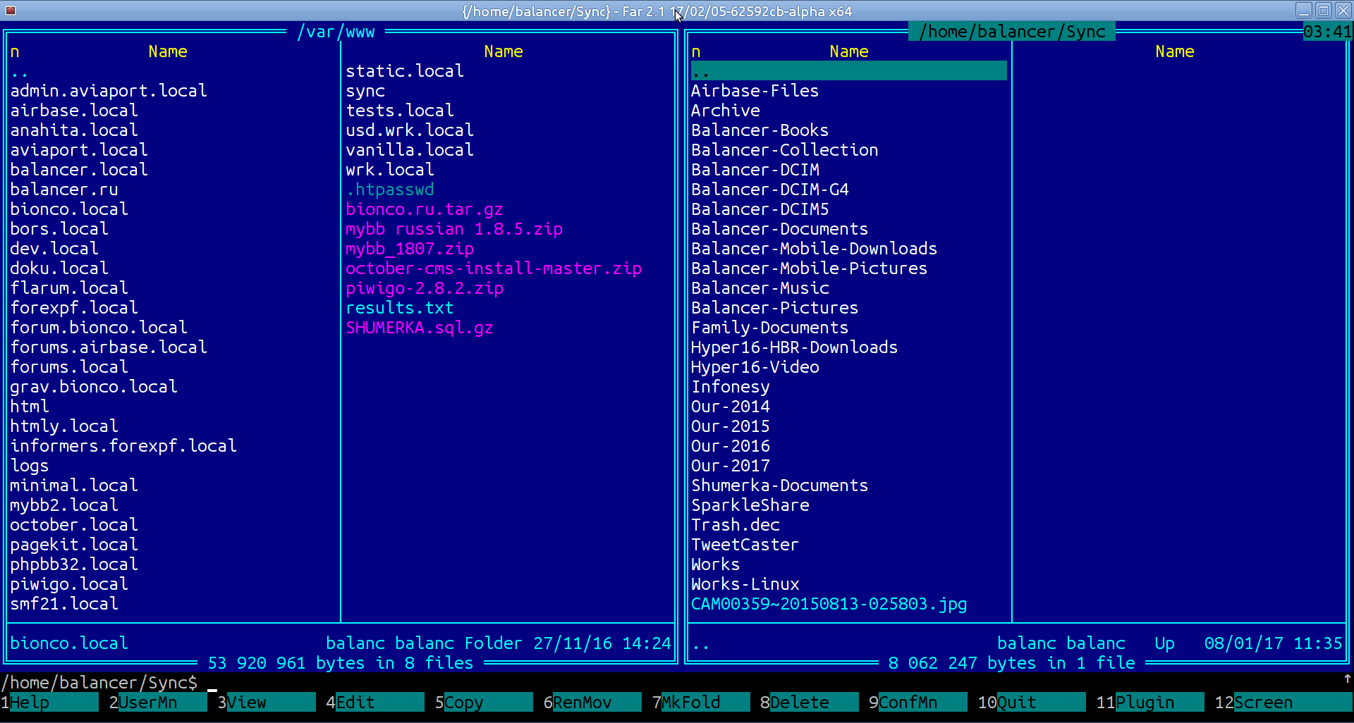 Result txt. Far Manager Linux. Far Manager иконка. Поиск в far Manager. Local forum.